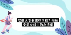 安徽大專有哪些學(xué)校？揭秘安徽?？浦械男∏迦A